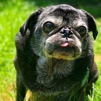 David Patrick Crawford