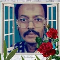 امير احمدكامل