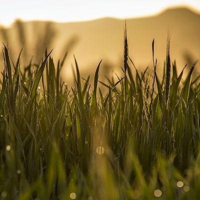 خالد الزهراني