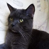 Наталья Корнева