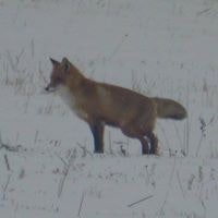 Андрей Лысов