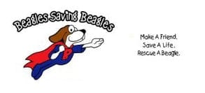 Brew Beagles