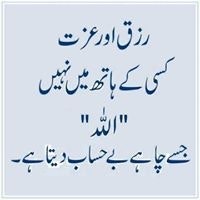 Muhammad Faisal Saeed