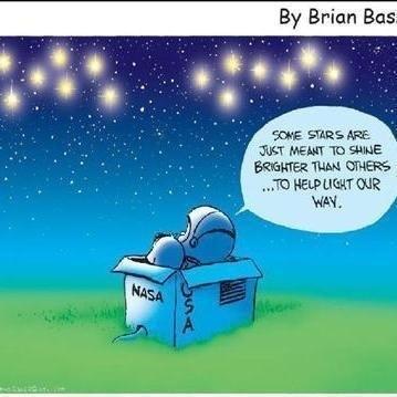 Vicissitudes of Life