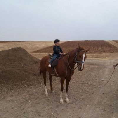 شرکت مهران سپهر پارس