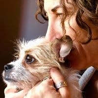 Dani Clever Beaumont