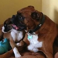 Gráinne Ní Learghusa