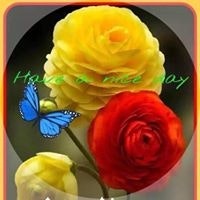 Charmaine Anne MacDonald