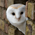 ProductHunt profile picture for @ivette