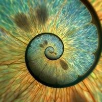 Joshua Logynn Arthur