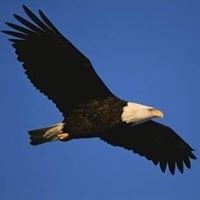 Eduarda Lee Sousa-Lall