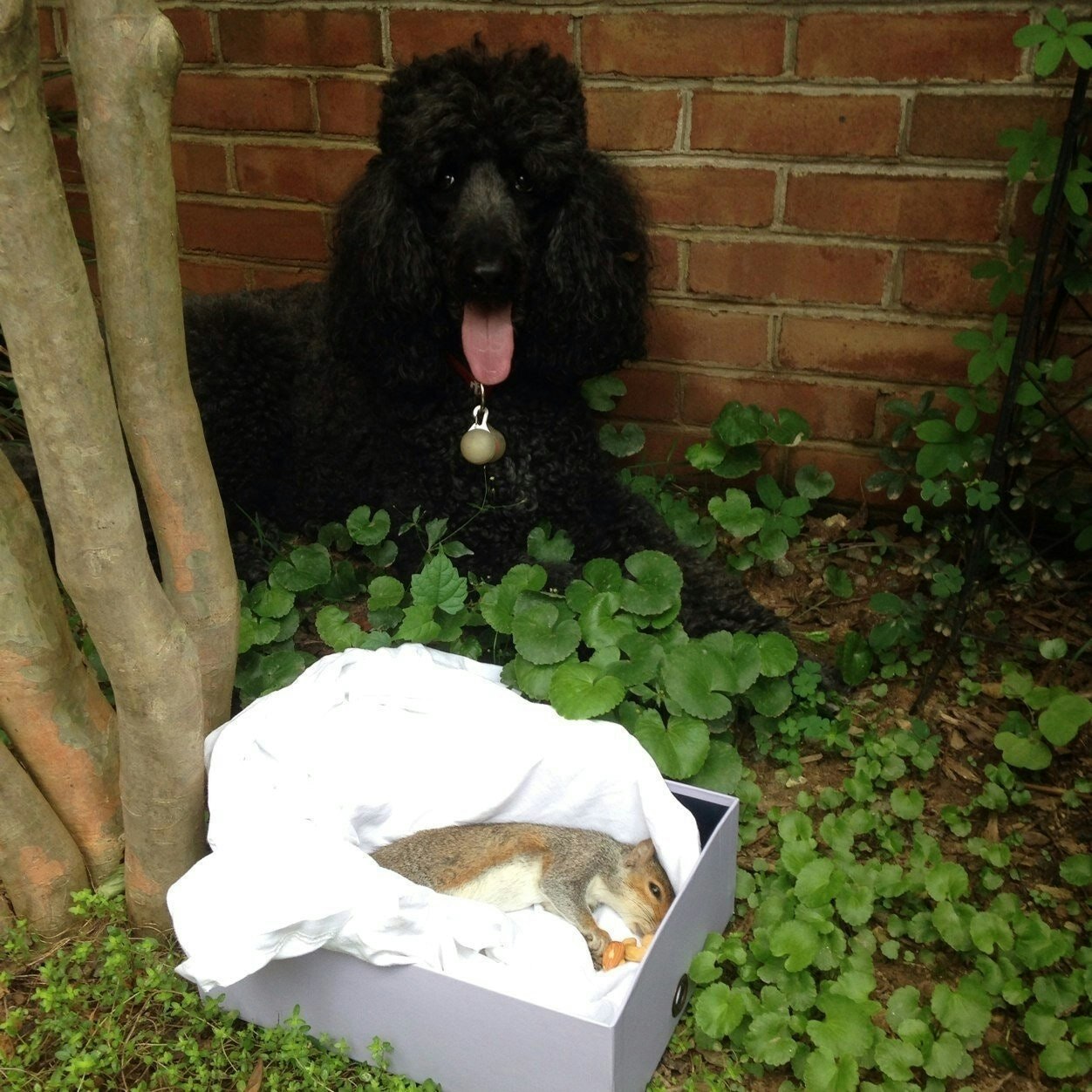 Sam Maximilian Cohen