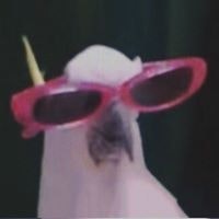 Сергей Алексеев