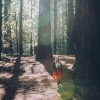 Christine Lauren McNamara