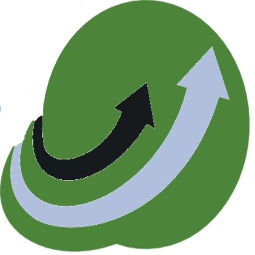 Stock Mkt Strategies