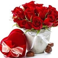 شرين عيسي محمد