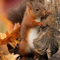 Montserrat Torres Angulo