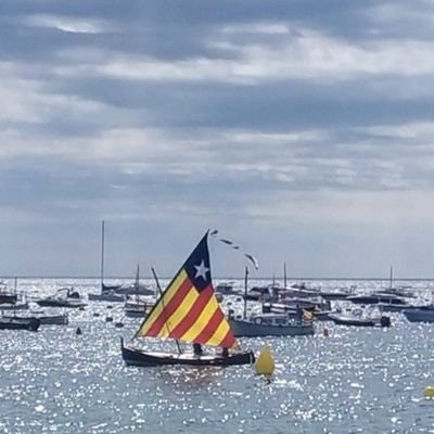 DONEC PERFICIAM CIPOLLINA 💜🎗️