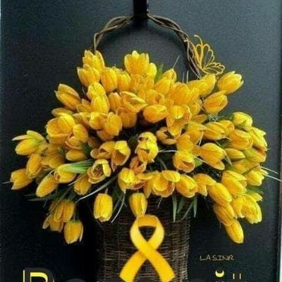 lliris 🎗️🎗️🎗️🎗️🎗️