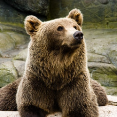 火田　π（個人開発）