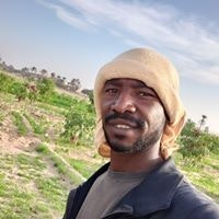 فضل البرغثي