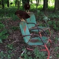 Kim Fuller Wasserman