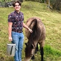 Thom Alexander Svardal Sørlien