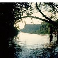 Vera Lucia Melo Oliveira