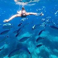 Юлия Анферова