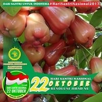 Muhammad Rahmatullah