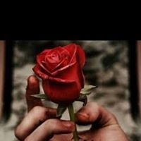 عماد ابو صطوف