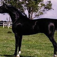 José Cláudio Alonso