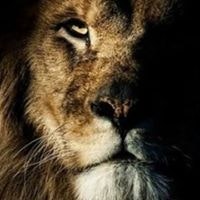 Francisco Elias Ferreira Neto