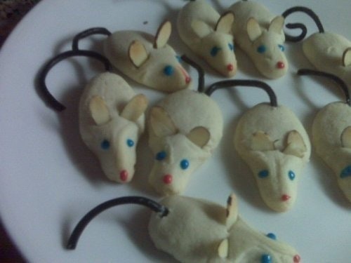 Venture Capital Blog