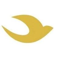 Geoflypages IT Company