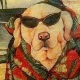 kelsey ᕕ( ᐛ )ᕗ