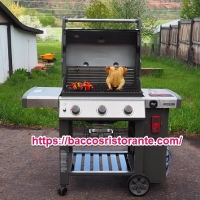 bestgasgrillsunder