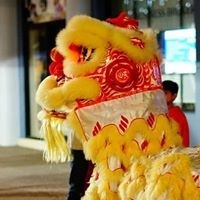 David Petar Novakovic