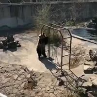 Charles L'Carpetron Dukemarriot Cooper