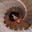 Ned Rockson
