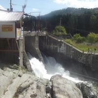 Дмитрий Комаров