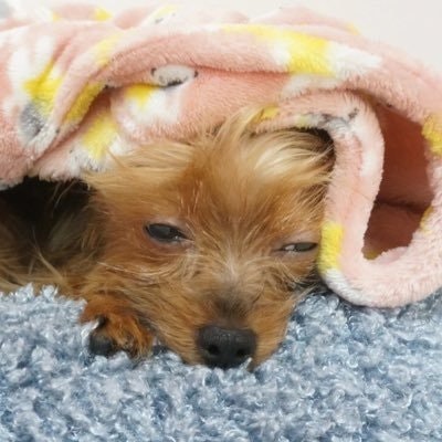 🏳️‍🌈Youngjin Mo👨‍💻