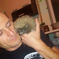 Иван Семенихин