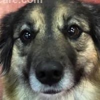 Sherry Soforic Szeszycki