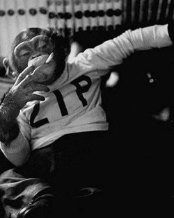 Юра Ололотов