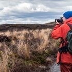 Thomas van der Broek