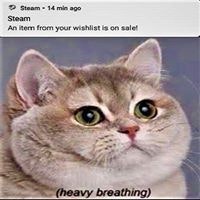 Muhammad Imran Helmi