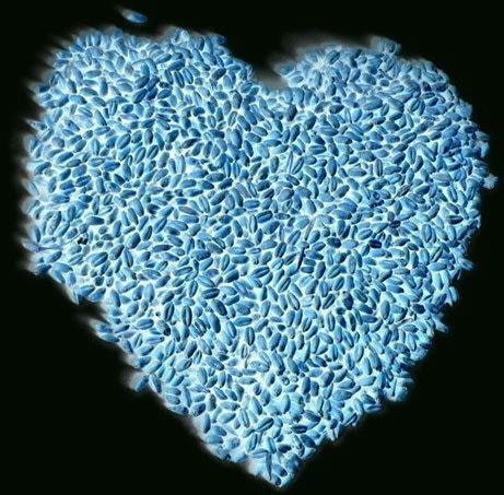 Таня Остання