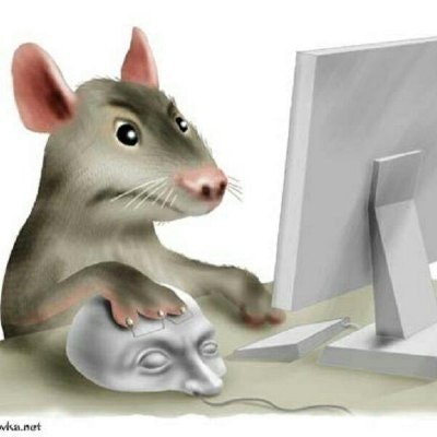 mouse react