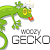 Woozy Gecko